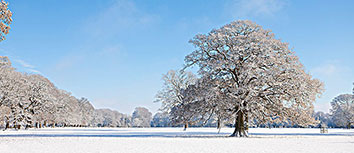 奥赛尔铁血拼搏，主场获得胜利