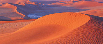 奥赛尔铁血拼搏，主场获得胜利