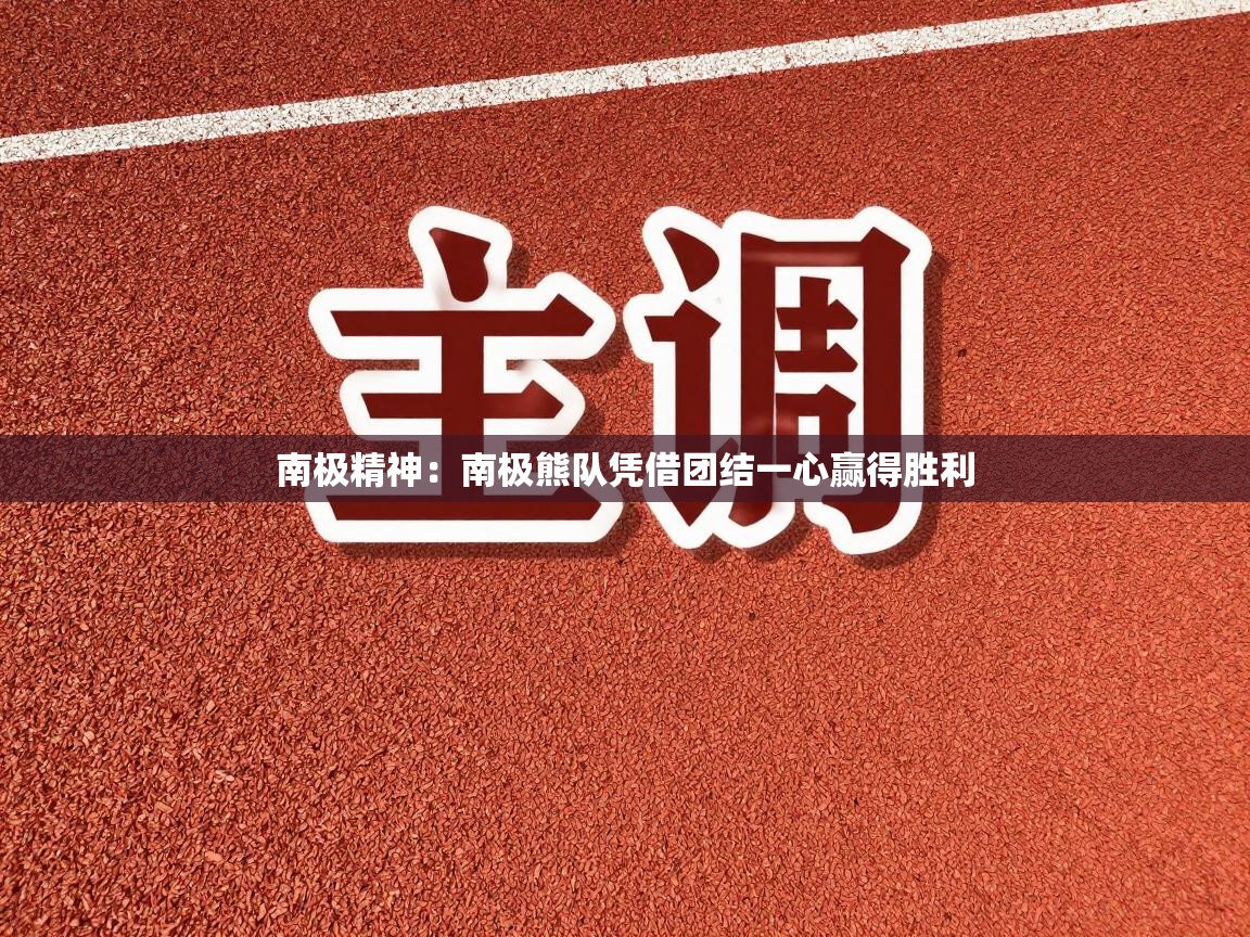 南极精神:南极熊队凭借团结一心赢得胜利