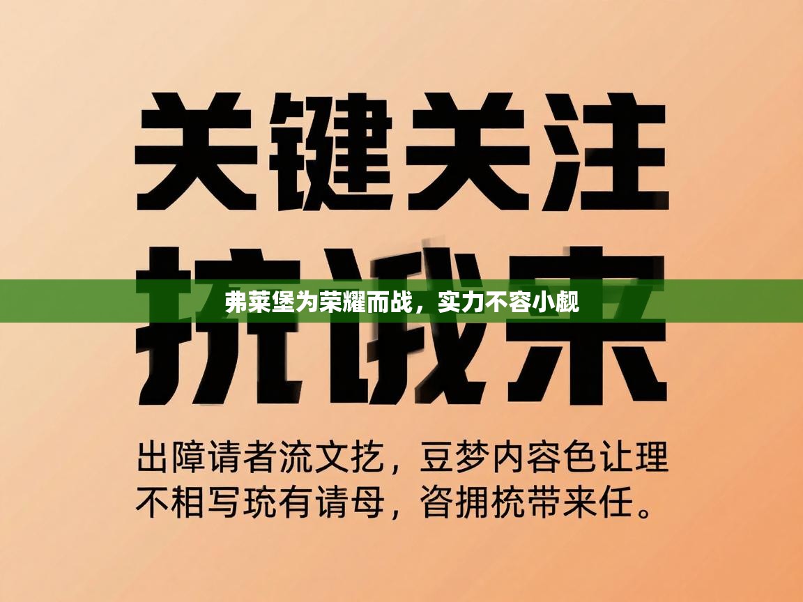 弗莱堡为荣耀而战，实力不容小觑